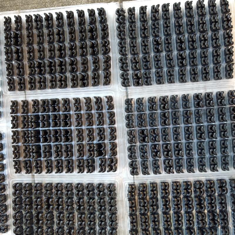 �ŭh(hu��n)�S�Ҍ�ע�A��ʽ70B�ŭh(hu��n)